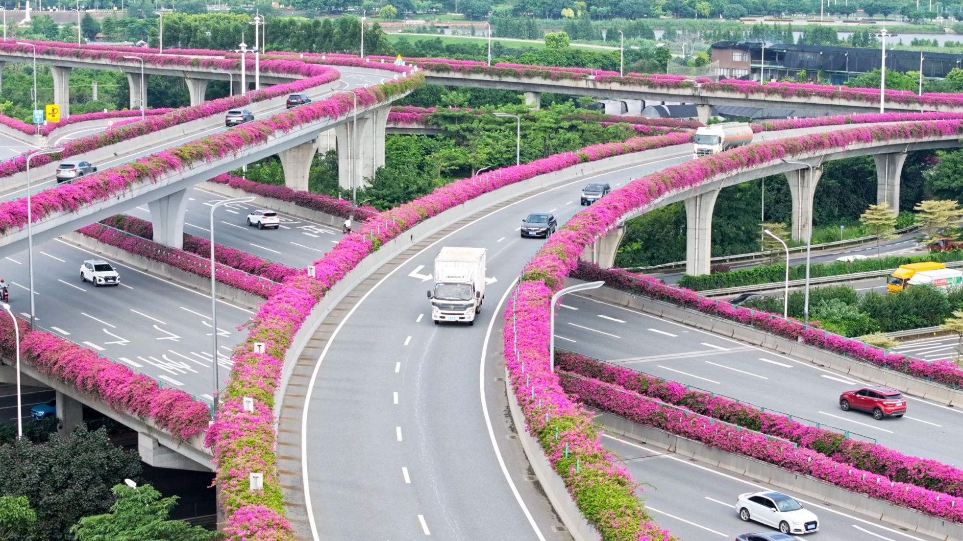 西龙互通大桥大大方便群众出行，还加速了沿线生产要素流动，搭建起城市发展的“血脉”和“脊梁”。 （摄影：王经纬）