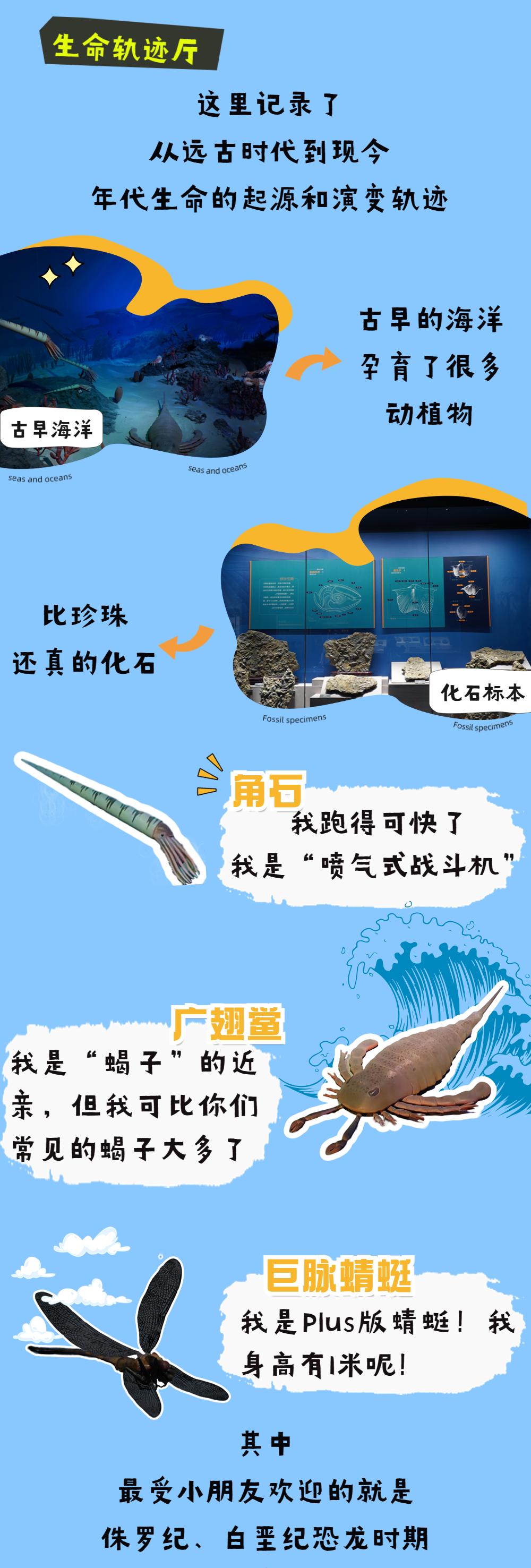 生命轨迹厅 (改大版1）