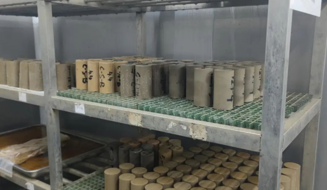 实验室内，使用土壤固化生态胶结料固化的淤泥试块，具有早强、高强特性。