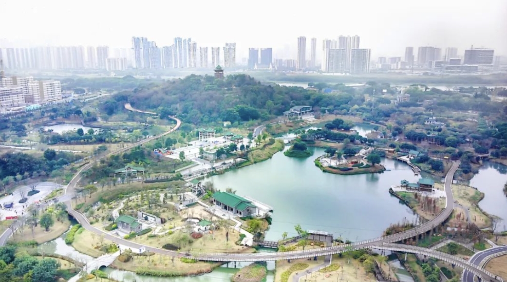 微信截图_20240701085842