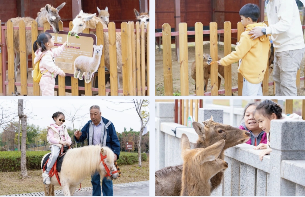 微信截图_20240701085855