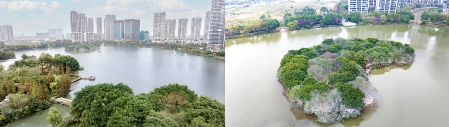 微信截图_20240701085939