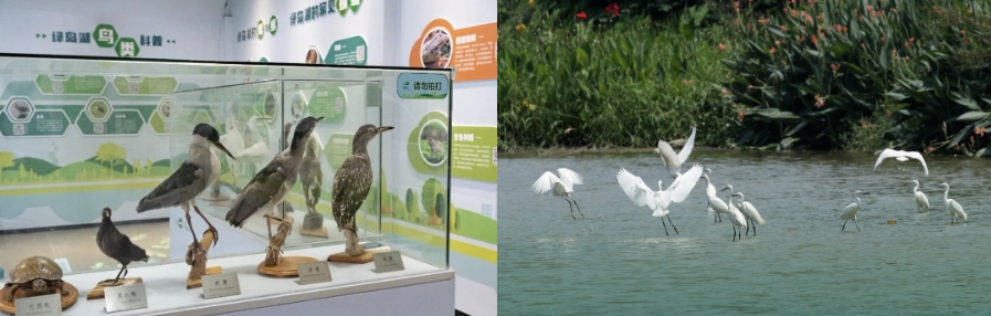 微信截图_20240701085945