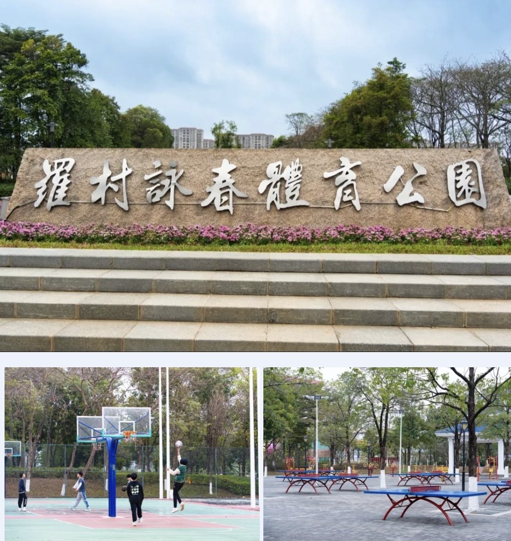 微信截图_20240701090411