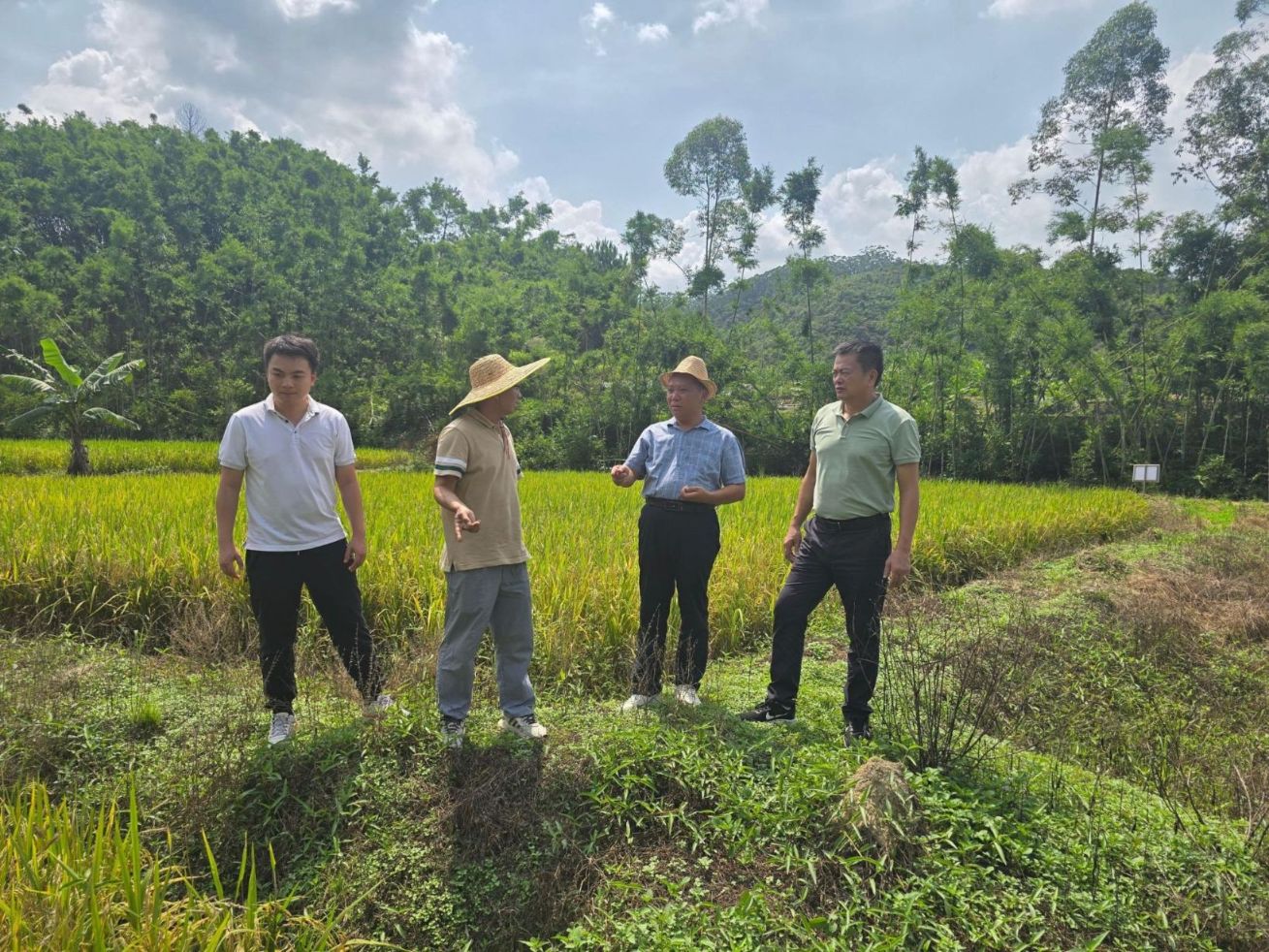 微信图片_2025-08-27_111030_397