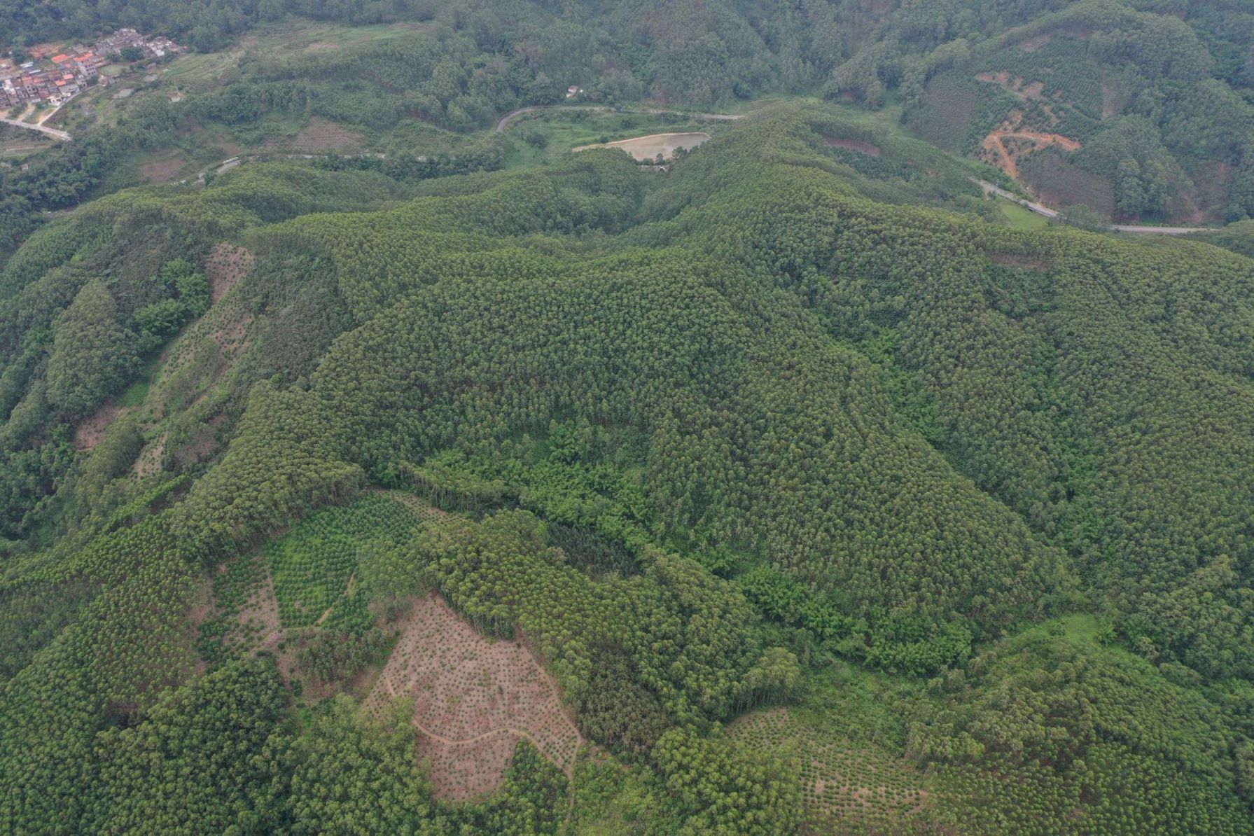 【图片3】地块开荒前