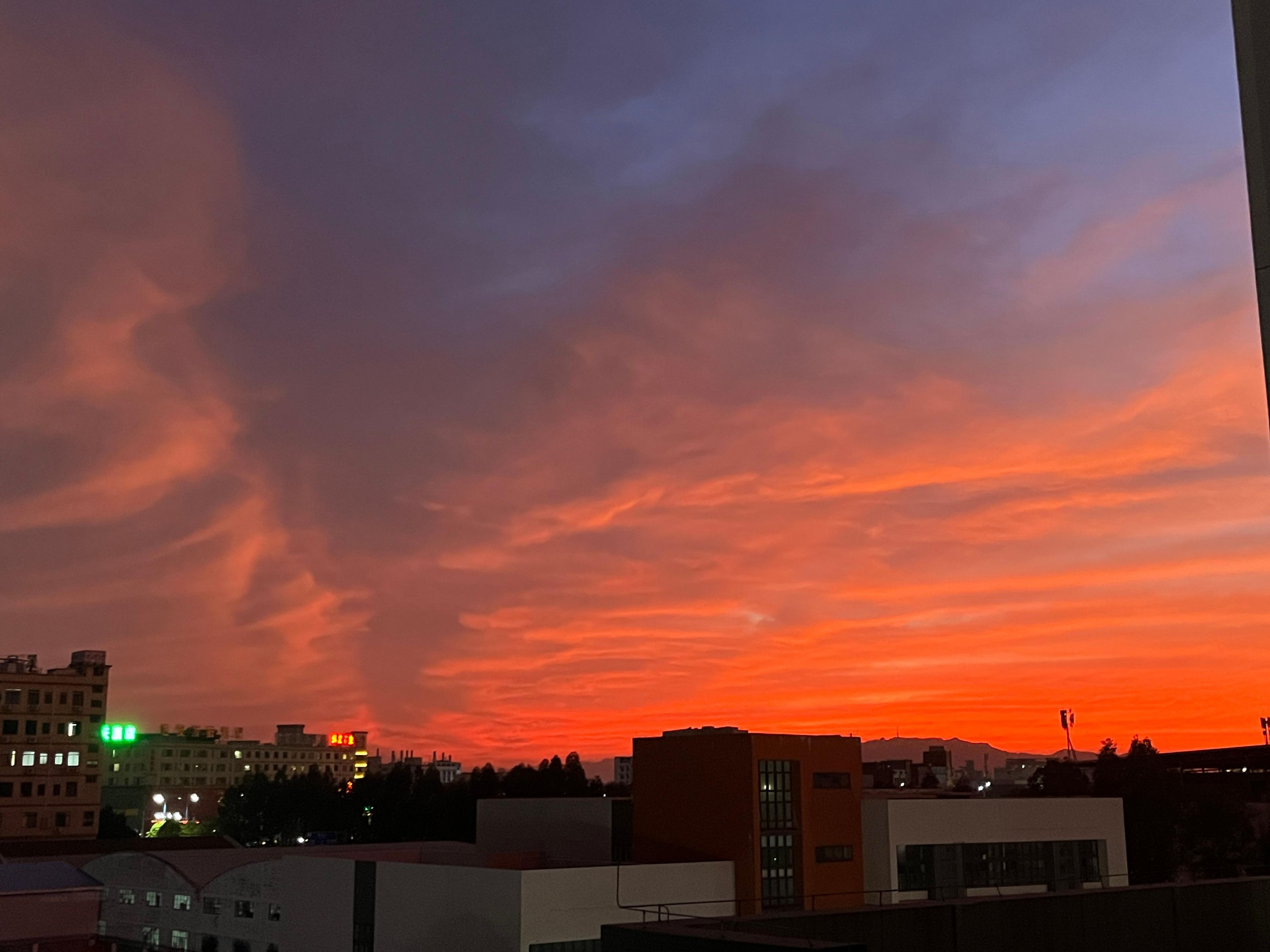 微信图片_20251127183806_390_302